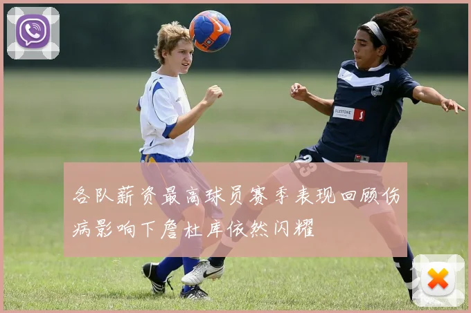 各队薪资最高球员赛季表现回顾伤病影响下詹杜库依然闪耀