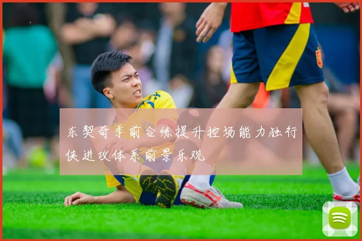 东契奇季前合练提升控场能力独行侠进攻体系前景乐观