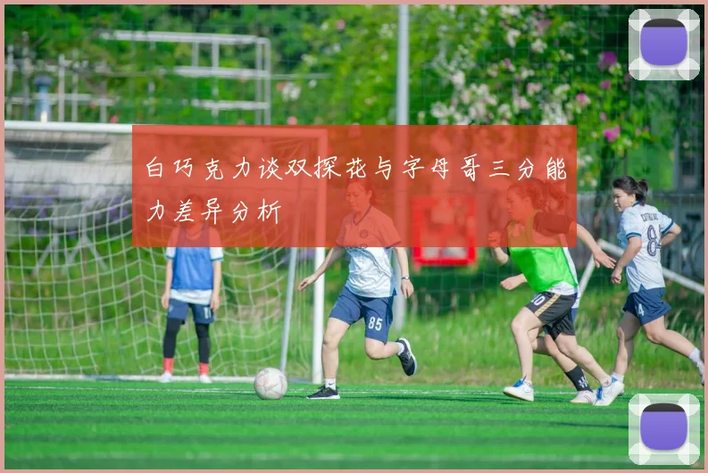 白巧克力谈双探花与字母哥三分能力差异分析